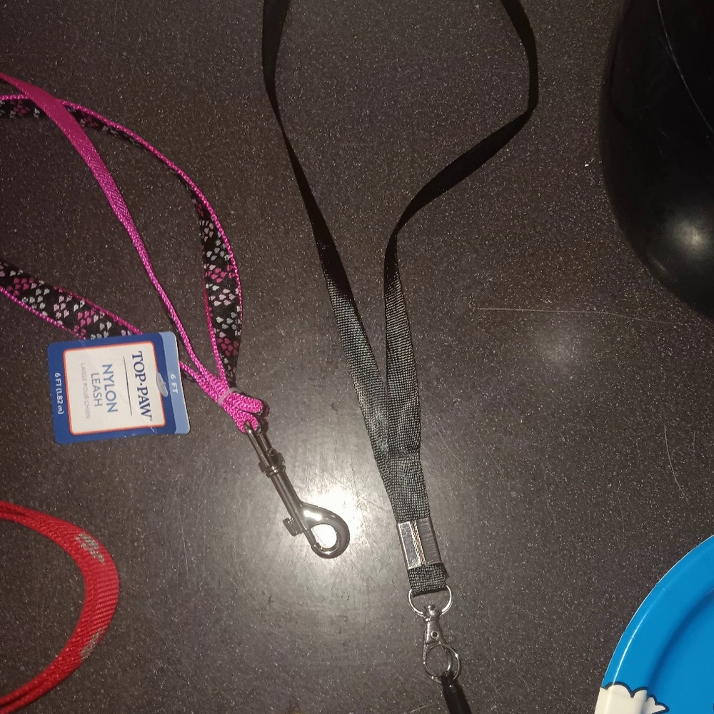 Leashes - Picture 11 of 15